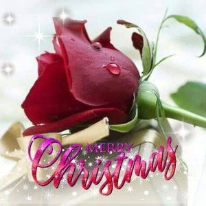 Kanavugal Nijamillei profile icon