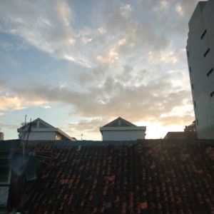 setia herlina profile icon