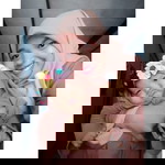 AndhaClewedt Pngent Dmanjha Cllu profile icon
