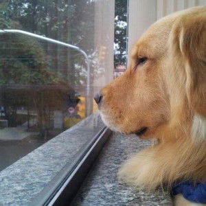 Bunnda Thinthi profile icon