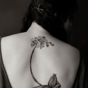 Rofelin R. Abequibel profile icon