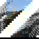 Dewi Sri Wahyuni profile icon