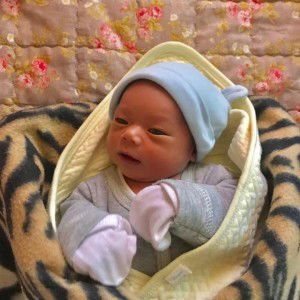 Jing Jing profile icon