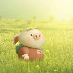 Nga Bùi profile icon