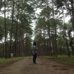 Worrathip Fai profile icon