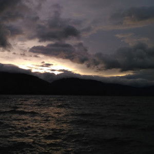 Adeline profile icon