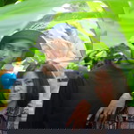 Nirunya Somtikal profile icon