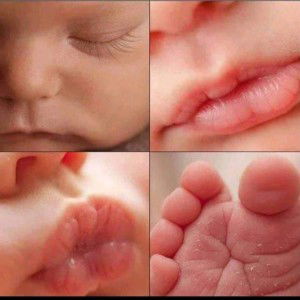 Prinz Fuasan profile icon