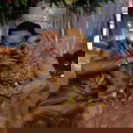 kiki muharam profile icon