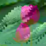 Inging Sukjaroenkraisri profile icon