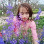 Đao Thuỷ profile icon