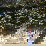 Anh Thư profile icon