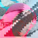 Lha Narti Saja profile icon