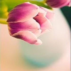 Nazirah Ridzwan profile icon