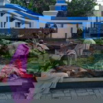 Mimi Setyadi profile icon