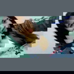 Janjira Hadee profile icon