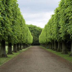 Septi Maulanis Wachidah profile icon