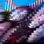 Miady Greezs profile icon