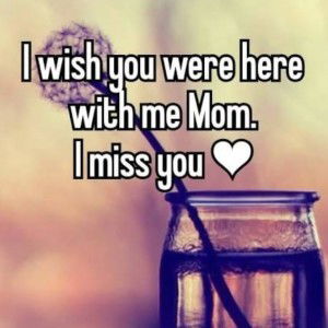 Eli Pau profile icon