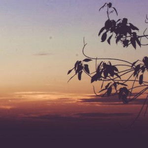 shazleen nurain profile icon