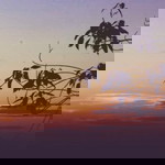 shazleen nurain profile icon