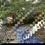 Nguyễn TúTú profile icon