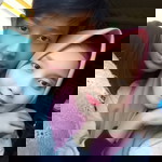 SILVISINTIA profile icon