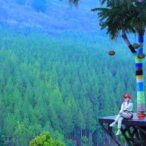 Dianti Mahli profile icon