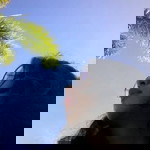 Mary Charisse Lizaso profile icon