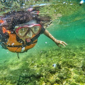 Ari Handayani profile icon