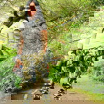 Rossa Devita profile icon