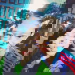 Seyu Cece Nita Ilyas profile icon