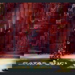 Lansi Abas profile icon