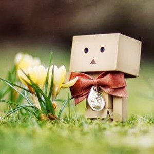 Afifah Alhaddi profile icon