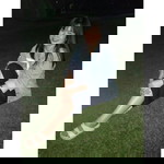 Arin Well profile icon