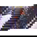 Monica Amelia profile icon