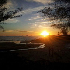 Chai Wanzhen profile icon