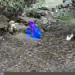 Yati Octarina profile icon