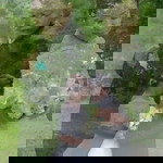 JasMin Reyes Candelaria profile icon