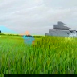 Melia Wulandari profile icon