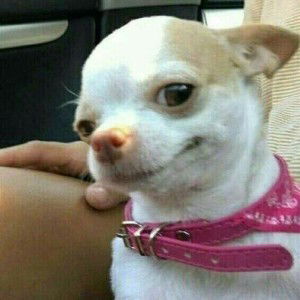 nabila putri profile icon