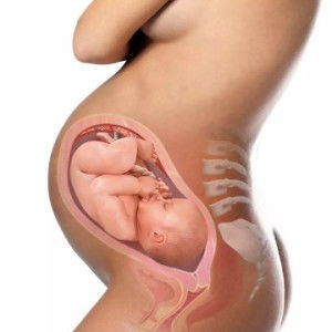 Beya Santos profile icon