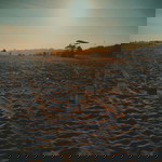 unknown profile icon