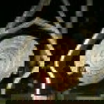 Ulfah Ika profile icon