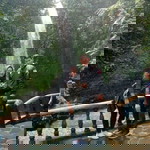 Widyaa Diiya profile icon