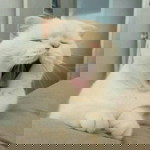 βͺ profile icon