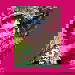 Mayang Popi profile icon