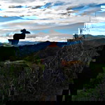 Princess Fraulein profile icon