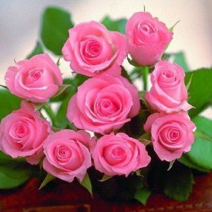 Ngọc Yến profile icon