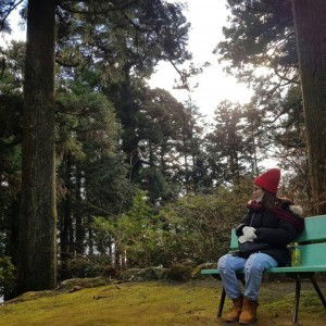 Torences profile icon